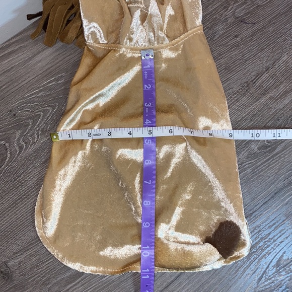 Velour Lion Costume - Picture 6 of 6